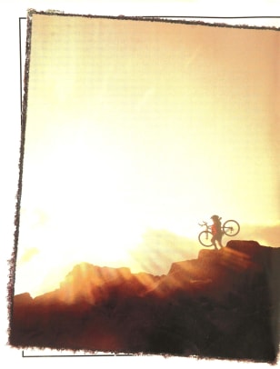 703454 - 002 - Image